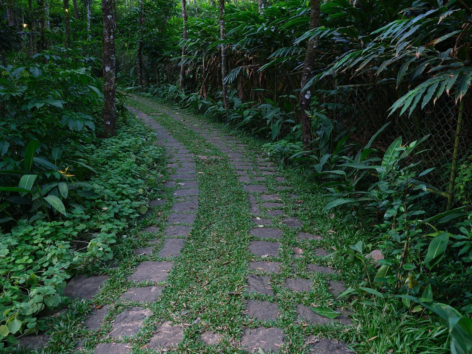 Mystic Mayapott, テッカディ エクステリア 写真